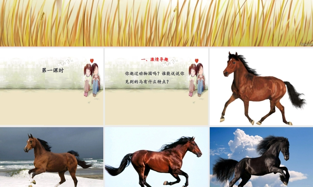 （秋季版）二年级语文上册 红马的故事课件 新人教版-新人教版小学二年级上册语文课件