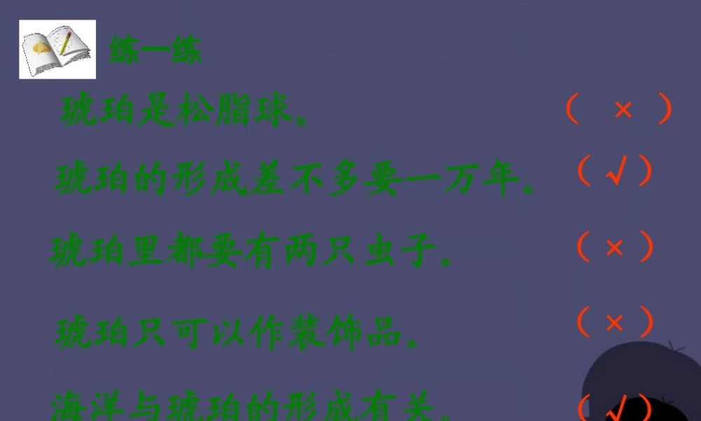 秋四年级语文上册《琥珀》课件1 冀教版-冀教版小学四年级上册语文课件