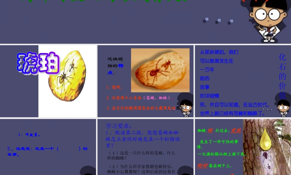 秋四年级语文上册《琥珀》课件1 冀教版-冀教版小学四年级上册语文课件