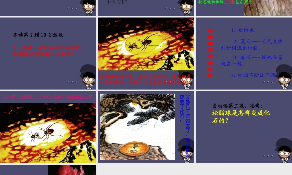 秋四年级语文上册《琥珀》课件1 冀教版-冀教版小学四年级上册语文课件