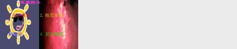 秋四年级语文上册《琥珀》课件1 冀教版-冀教版小学四年级上册语文课件