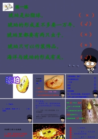 秋四年级语文上册《琥珀》课件1 冀教版-冀教版小学四年级上册语文课件