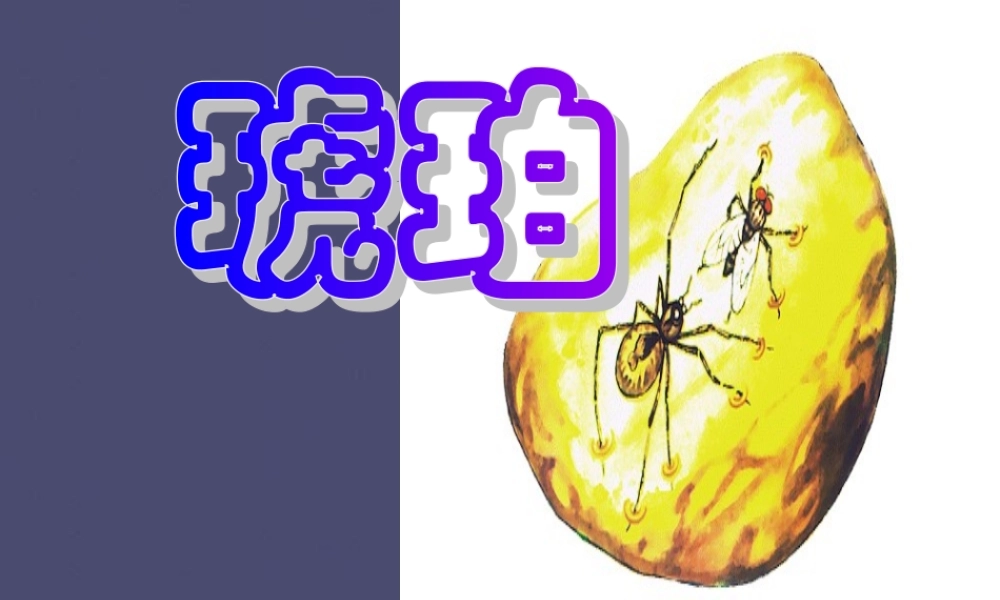 秋四年级语文上册《琥珀》课件2 冀教版-冀教版小学四年级上册语文课件