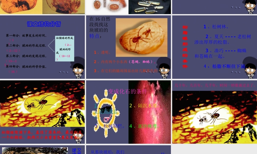 秋四年级语文上册《琥珀》课件2 冀教版-冀教版小学四年级上册语文课件