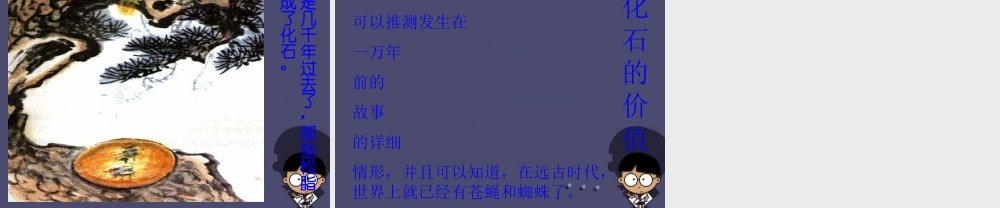 秋四年级语文上册《琥珀》课件2 冀教版-冀教版小学四年级上册语文课件