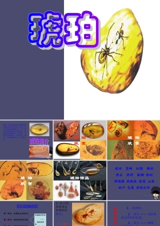 秋四年级语文上册《琥珀》课件2 冀教版-冀教版小学四年级上册语文课件