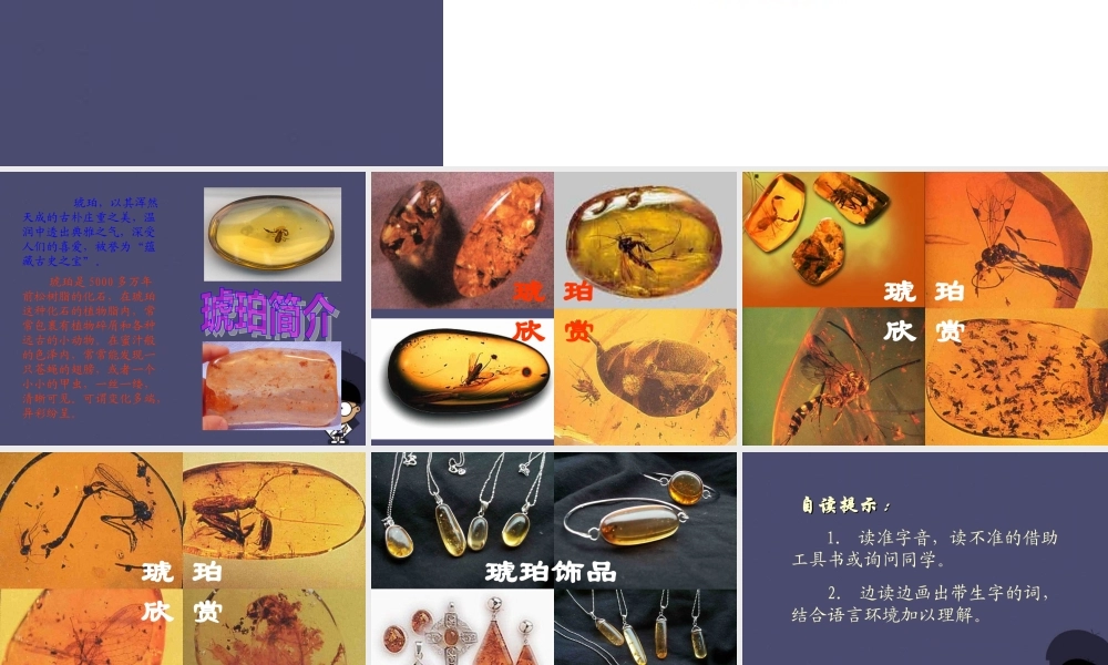 秋四年级语文上册《琥珀》课件3 冀教版-冀教版小学四年级上册语文课件