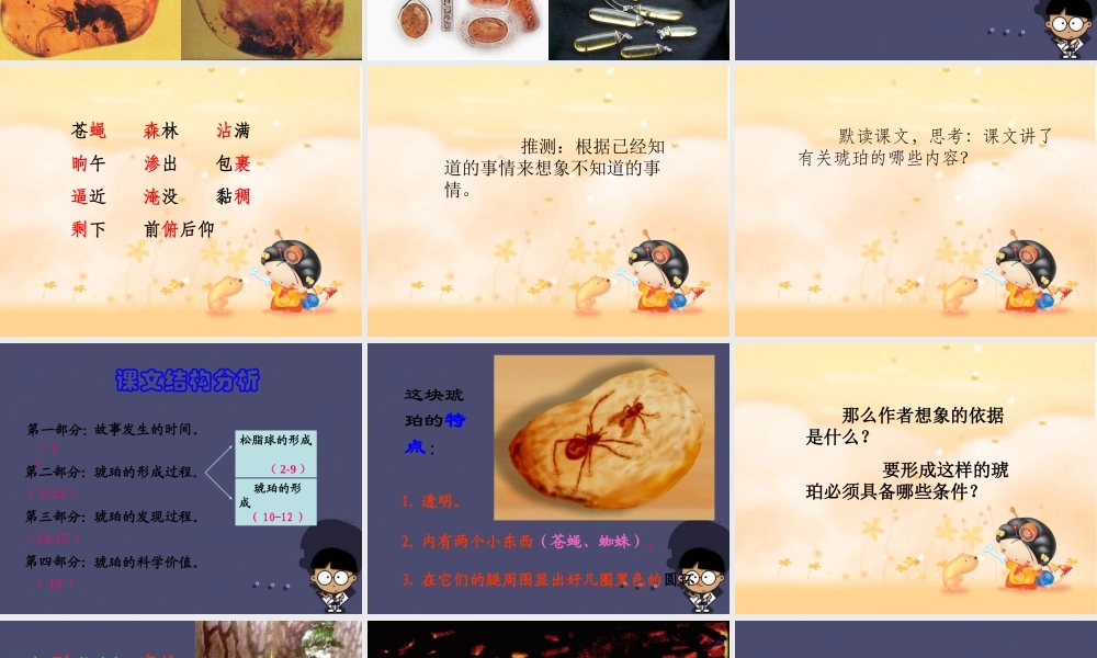 秋四年级语文上册《琥珀》课件3 冀教版-冀教版小学四年级上册语文课件