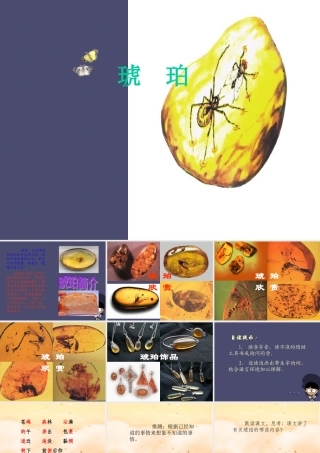 秋四年级语文上册《琥珀》课件3 冀教版-冀教版小学四年级上册语文课件