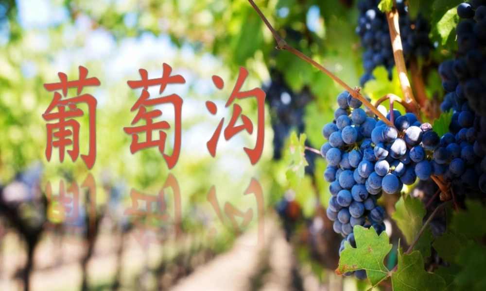 （秋季版）二年级语文上册 葡萄沟课件 新人教版-新人教版小学二年级上册语文课件