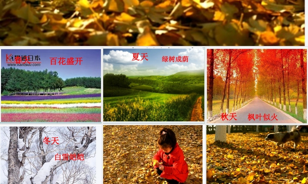 （秋季版）二年级语文上册 秋天的树叶课件1 湘教版-湘教版小学二年级上册语文课件