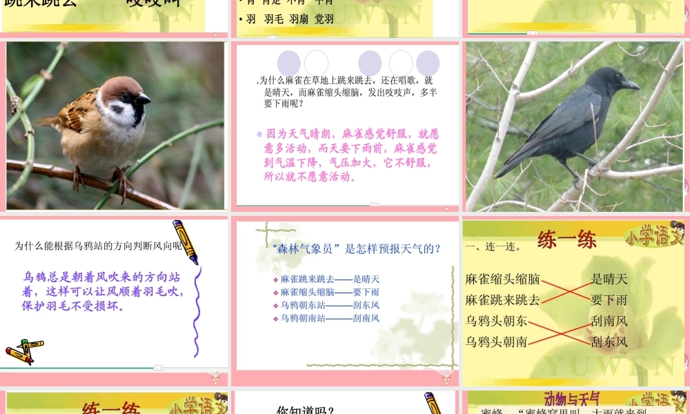 （秋季版）二年级语文上册 森林气象站课件1 湘教版-湘教版小学二年级上册语文课件