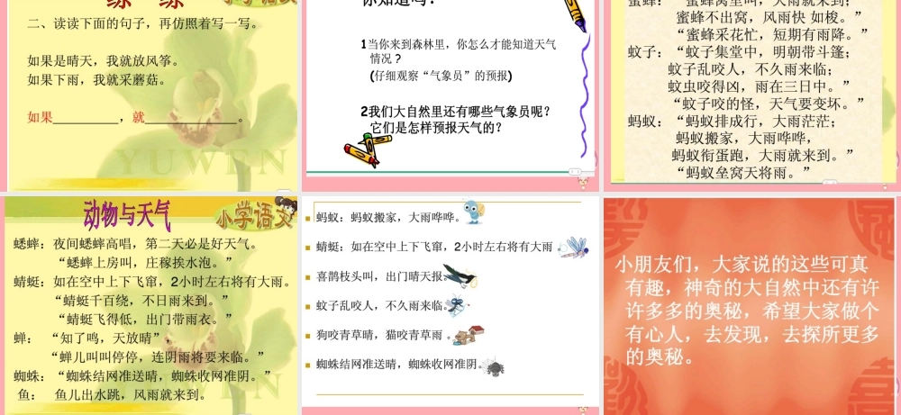 （秋季版）二年级语文上册 森林气象站课件1 湘教版-湘教版小学二年级上册语文课件