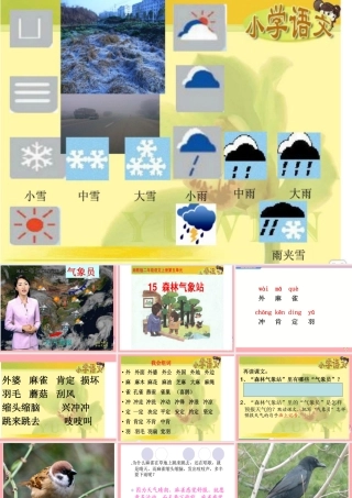 （秋季版）二年级语文上册 森林气象站课件1 湘教版-湘教版小学二年级上册语文课件