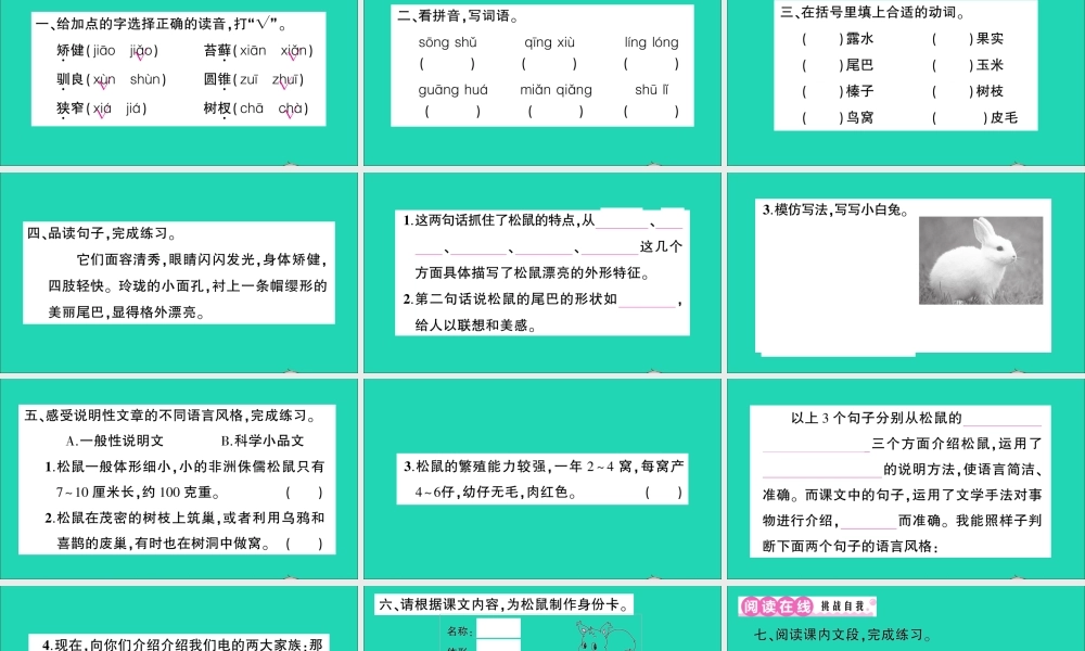 （广东地区）五年级语文上册 第五单元 17 松鼠作业课件 新人教版-新人教版小学五年级上册语文课件