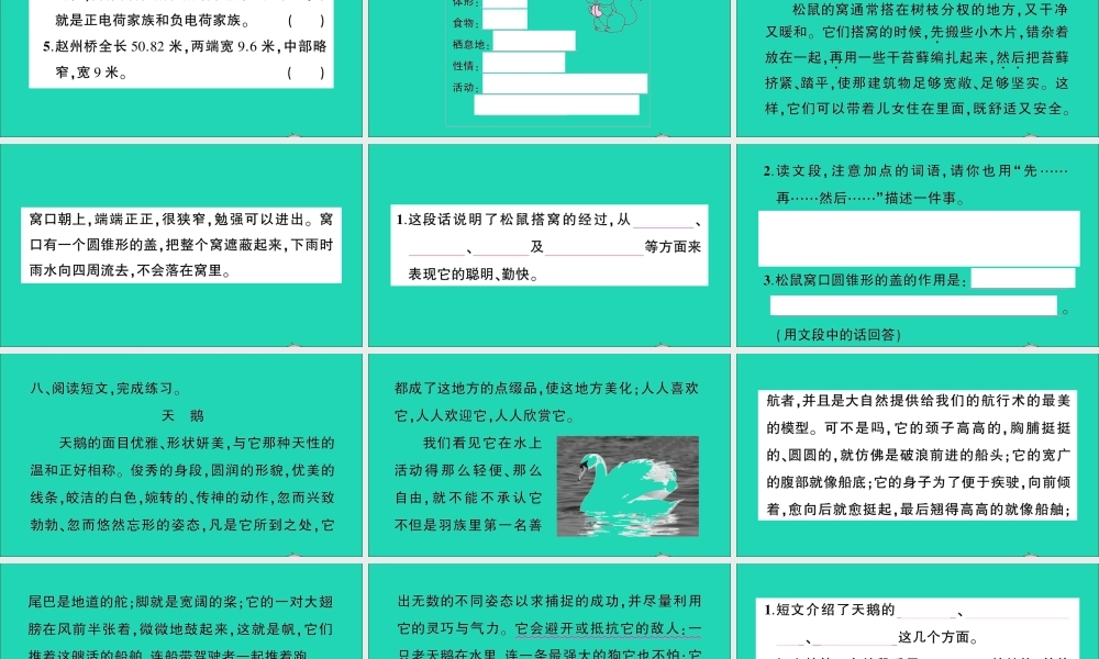 （广东地区）五年级语文上册 第五单元 17 松鼠作业课件 新人教版-新人教版小学五年级上册语文课件