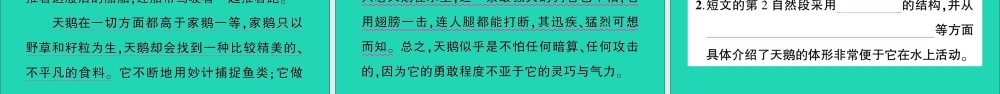（广东地区）五年级语文上册 第五单元 17 松鼠作业课件 新人教版-新人教版小学五年级上册语文课件