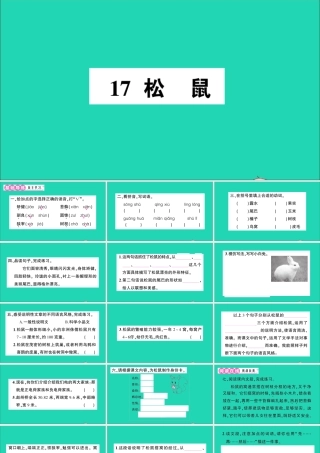 （广东地区）五年级语文上册 第五单元 17 松鼠作业课件 新人教版-新人教版小学五年级上册语文课件
