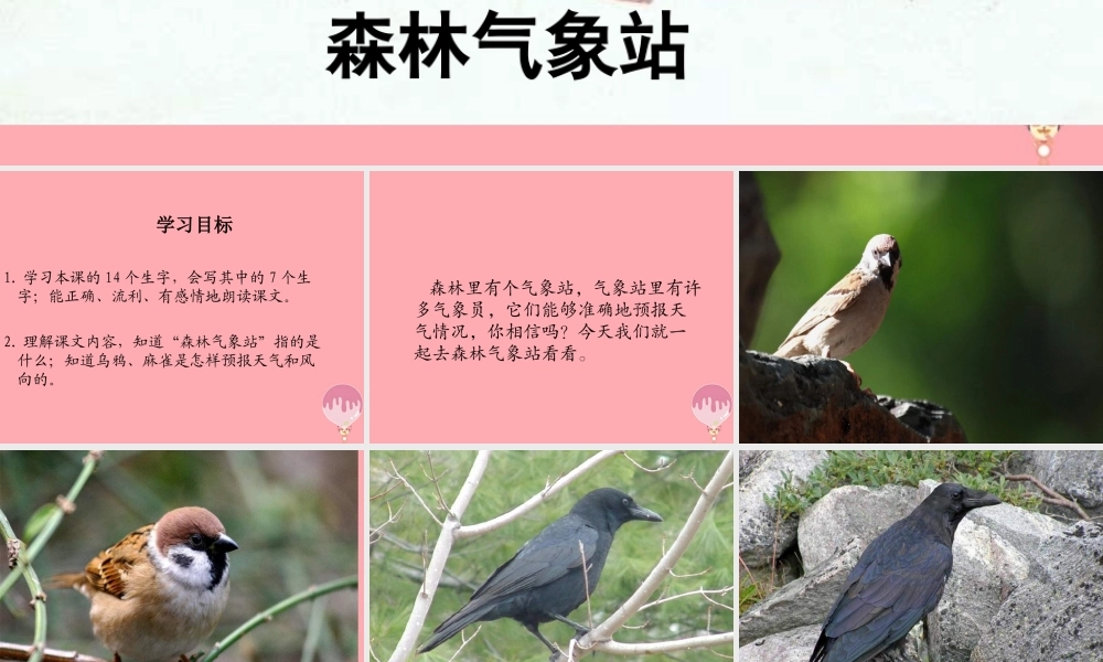 （秋季版）二年级语文上册 森林气象站课件2 湘教版-人教版小学二年级全册语文课件