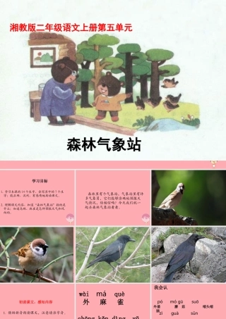 （秋季版）二年级语文上册 森林气象站课件2 湘教版-人教版小学二年级全册语文课件