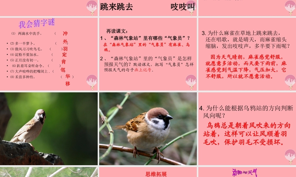 （秋季版）二年级语文上册 森林气象站课件3 湘教版-湘教版小学二年级上册语文课件