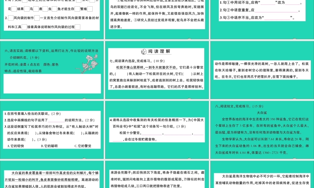 （广东地区）五年级语文上册 第五单元测试课件 新人教版-新人教版小学五年级上册语文课件