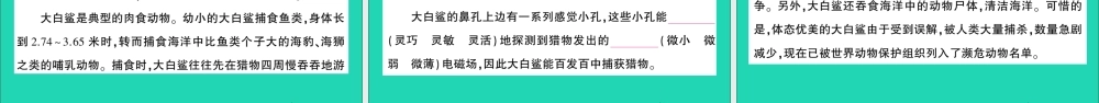 （广东地区）五年级语文上册 第五单元测试课件 新人教版-新人教版小学五年级上册语文课件