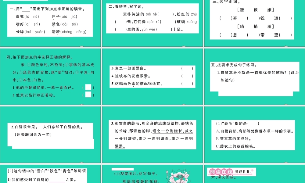 （广东地区）五年级语文上册 第一单元 1 白鹭作业课件 新人教版-新人教版小学五年级上册语文课件