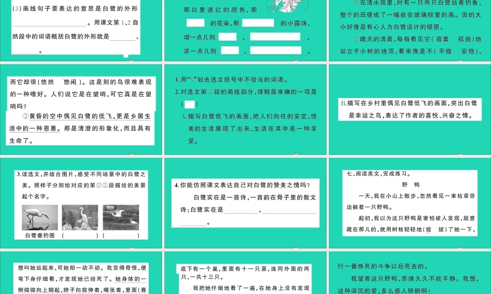 （广东地区）五年级语文上册 第一单元 1 白鹭作业课件 新人教版-新人教版小学五年级上册语文课件