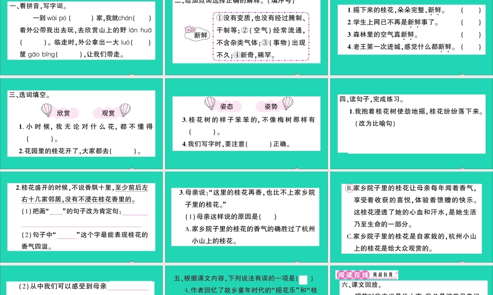 （广东地区）五年级语文上册 第一单元 3 桂花雨作业课件 新人教版-新人教版小学五年级上册语文课件