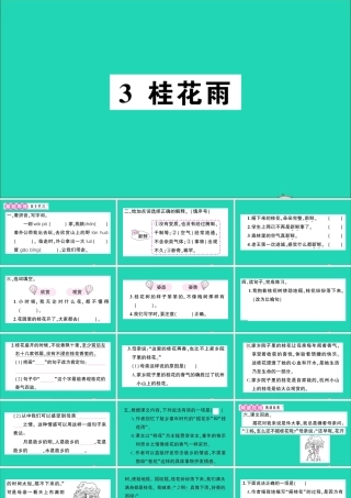 （广东地区）五年级语文上册 第一单元 3 桂花雨作业课件 新人教版-新人教版小学五年级上册语文课件
