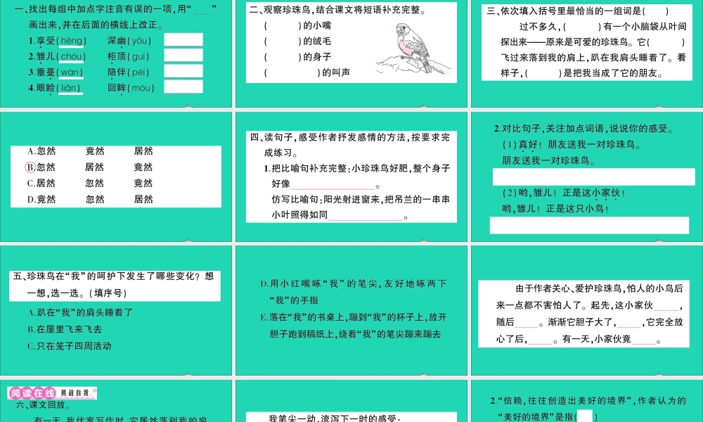 （广东地区）五年级语文上册 第一单元 4 珍珠鸟作业课件 新人教版-新人教版小学五年级上册语文课件