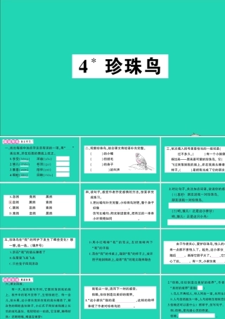 （广东地区）五年级语文上册 第一单元 4 珍珠鸟作业课件 新人教版-新人教版小学五年级上册语文课件