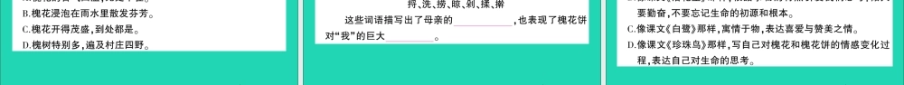 （广东地区）五年级语文上册 第一单元测试课件 新人教版-新人教版小学五年级上册语文课件
