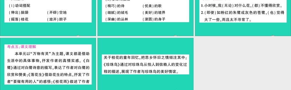 （广东地区）五年级语文上册 第一单元知识总结作业课件 新人教版-新人教版小学五年级上册语文课件