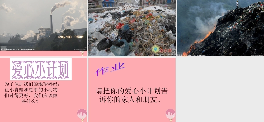 （秋季版）二年级语文上册 小青蛙找新家课件3 湘教版-湘教版小学二年级上册语文课件