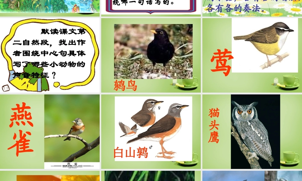 秋四年级语文上册《林中乐队》课件1 北师大版-北师大版小学四年级上册语文课件