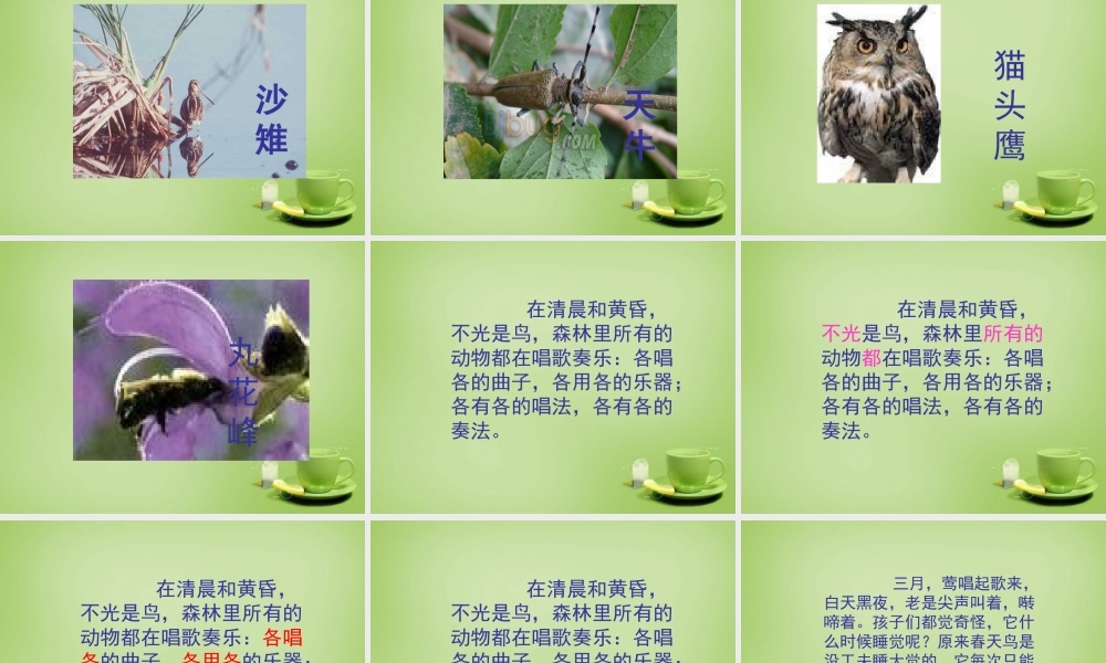 秋四年级语文上册《林中乐队》课件3 北师大版-北师大版小学四年级上册语文课件