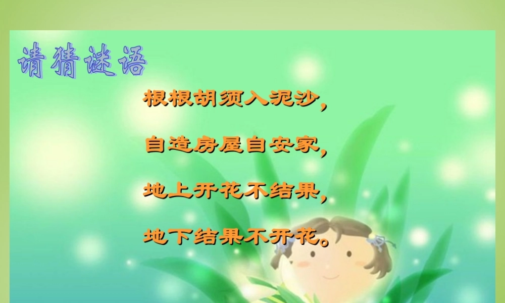 秋四年级语文上册《落花生》课件1 北师大版-北师大版小学四年级上册语文课件