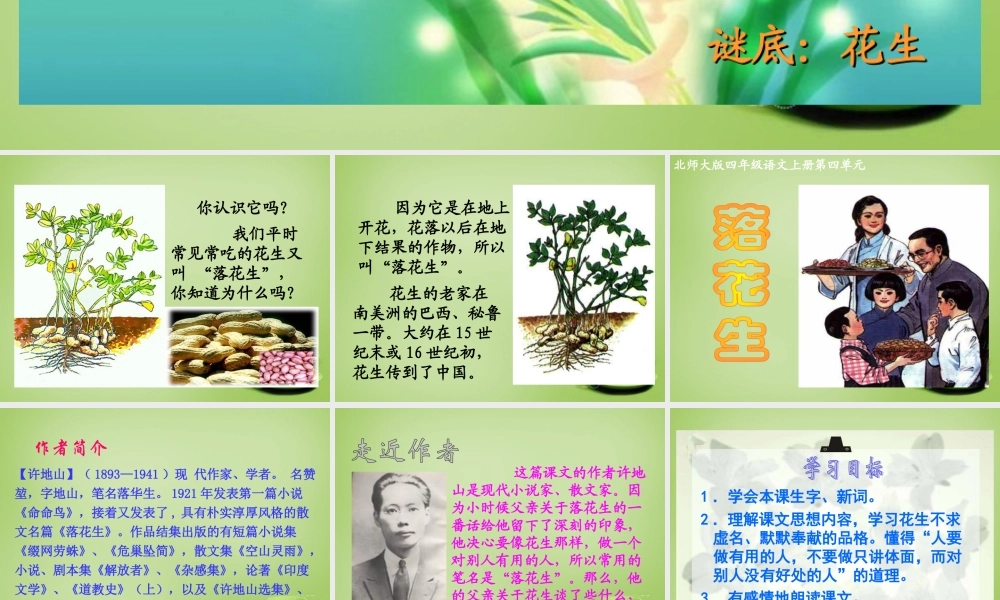 秋四年级语文上册《落花生》课件1 北师大版-北师大版小学四年级上册语文课件