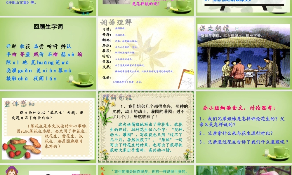 秋四年级语文上册《落花生》课件1 北师大版-北师大版小学四年级上册语文课件