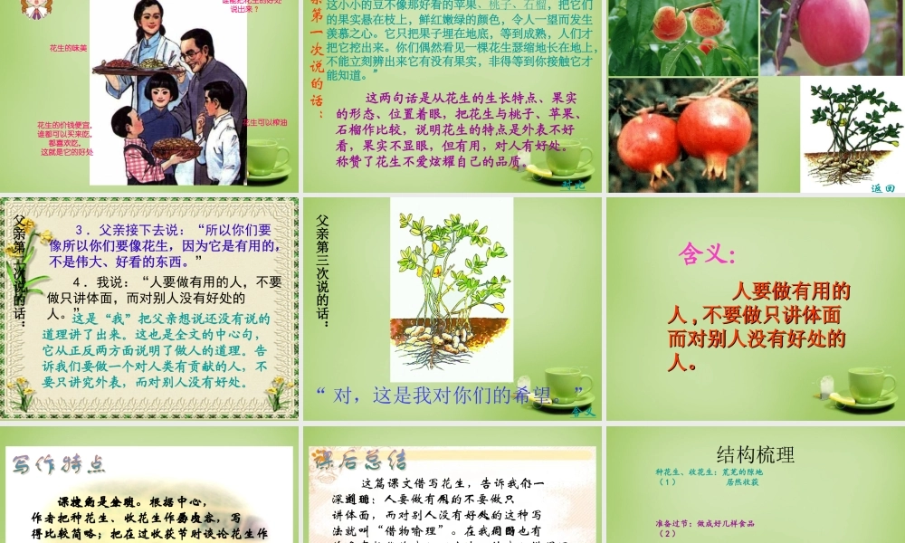 秋四年级语文上册《落花生》课件1 北师大版-北师大版小学四年级上册语文课件