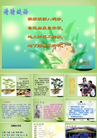 秋四年级语文上册《落花生》课件1 北师大版-北师大版小学四年级上册语文课件