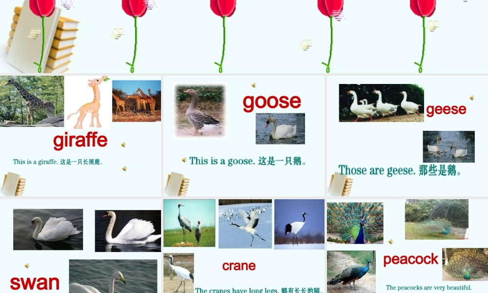 （人教新版）四年级英语下册课件 fun time2 part 3(1)