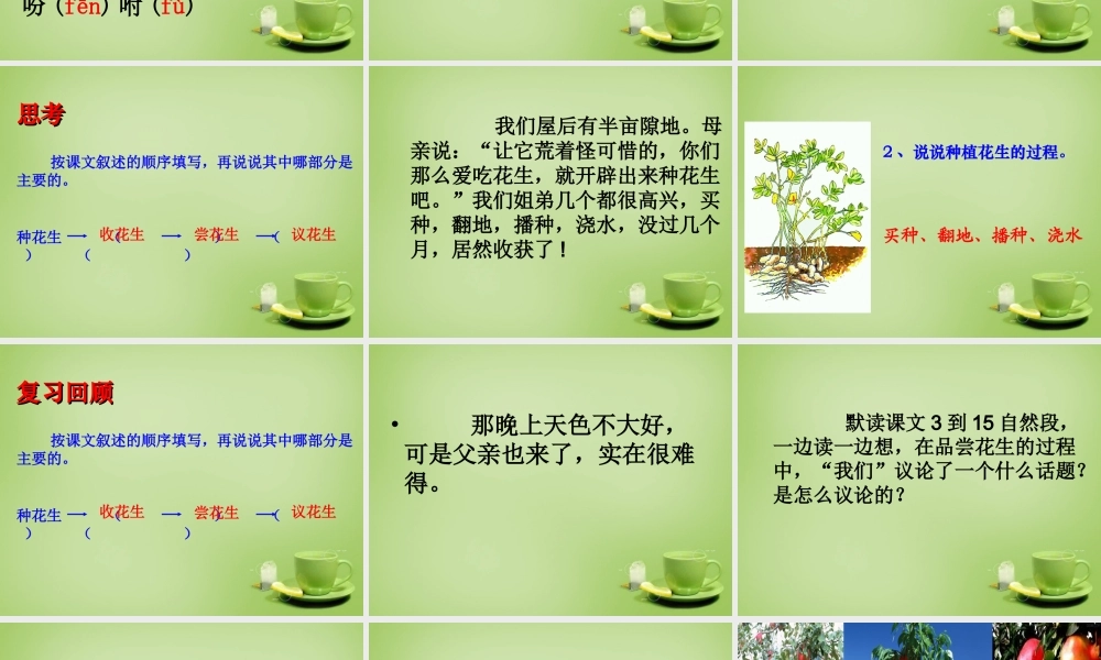 秋四年级语文上册《落花生》课件2 北师大版-北师大版小学四年级上册语文课件