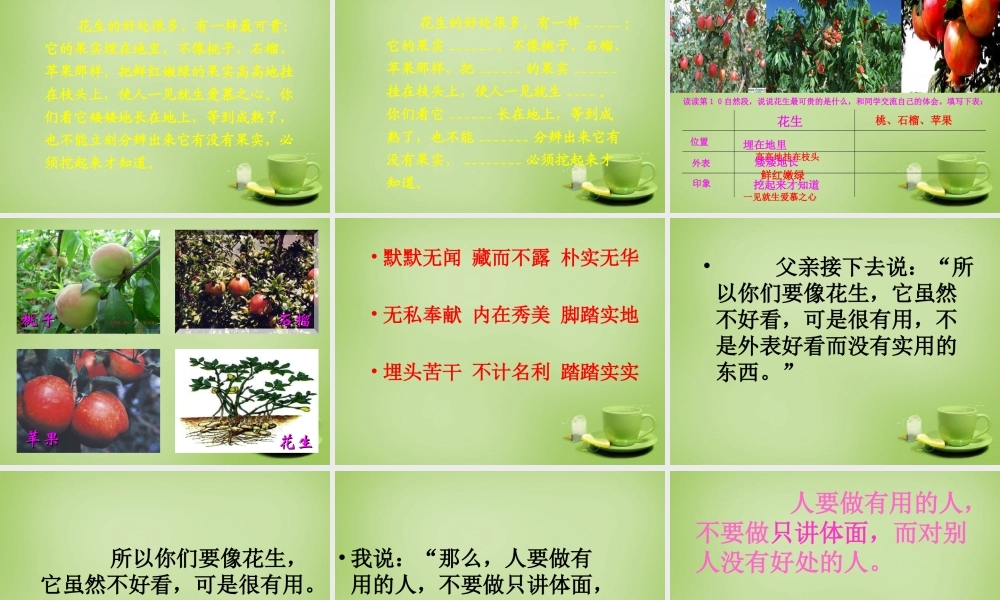 秋四年级语文上册《落花生》课件2 北师大版-北师大版小学四年级上册语文课件