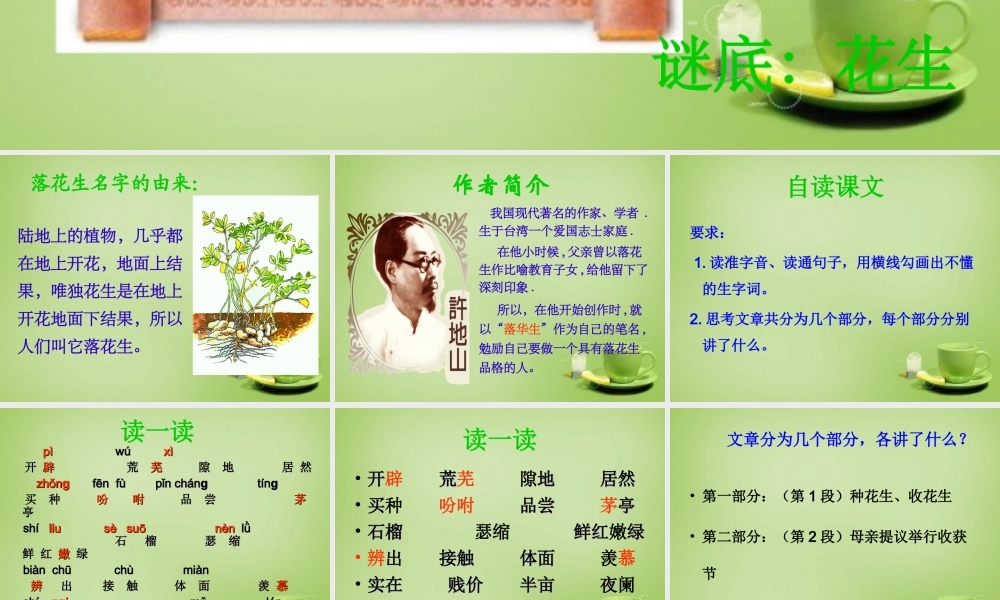 秋四年级语文上册《落花生》课件3 北师大版-北师大版小学四年级上册语文课件