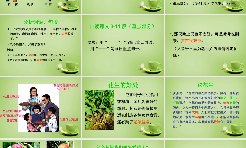 秋四年级语文上册《落花生》课件3 北师大版-北师大版小学四年级上册语文课件