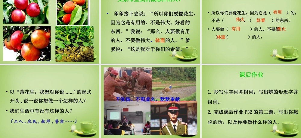 秋四年级语文上册《落花生》课件3 北师大版-北师大版小学四年级上册语文课件