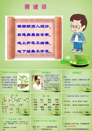 秋四年级语文上册《落花生》课件3 北师大版-北师大版小学四年级上册语文课件